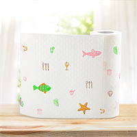 kitchen tissue /towel  from disposablesInc.com Import  disposable items from China, The best import service in China. 